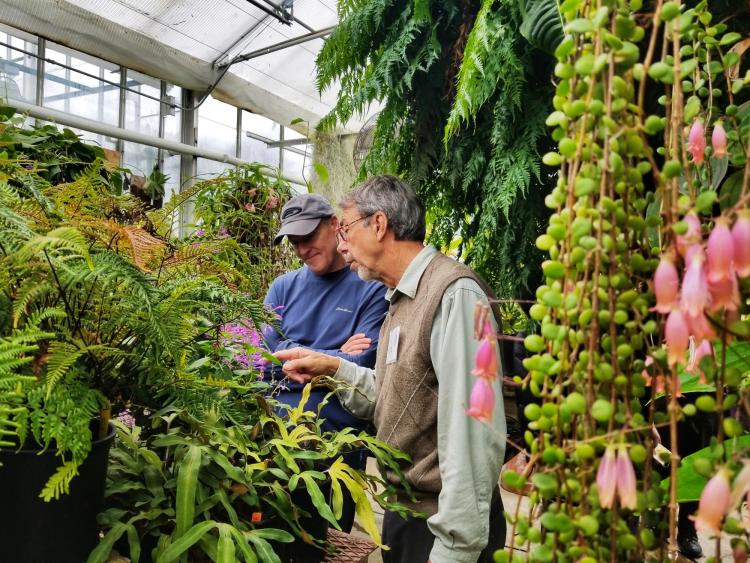 Tom Lemieux speaks with a man inside CU Boulder's EBIO greenhouse.