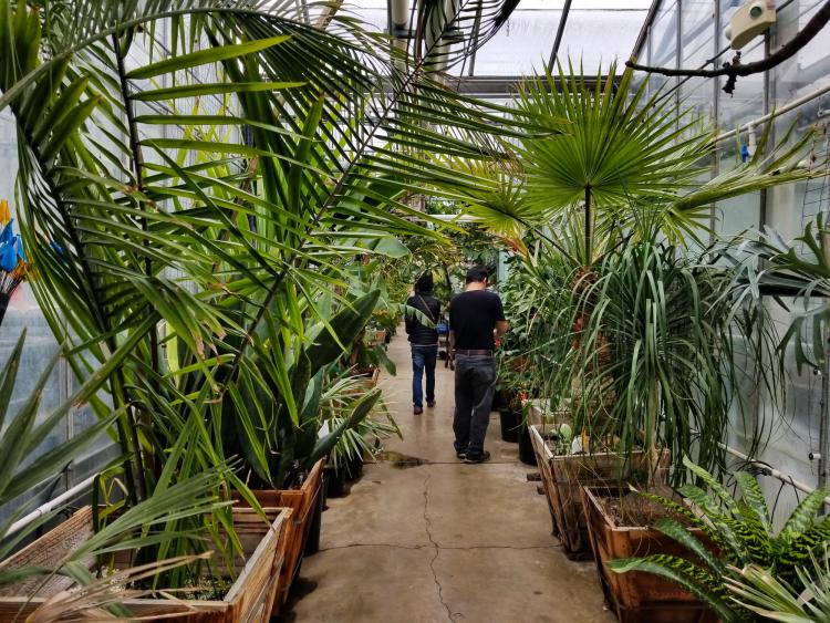 Two people walk through CU Boulder's EBIO greenhouse.
