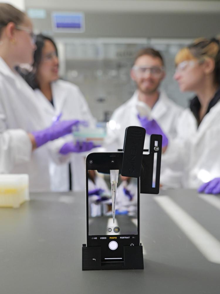 A cell phone takes a picture of microbes
