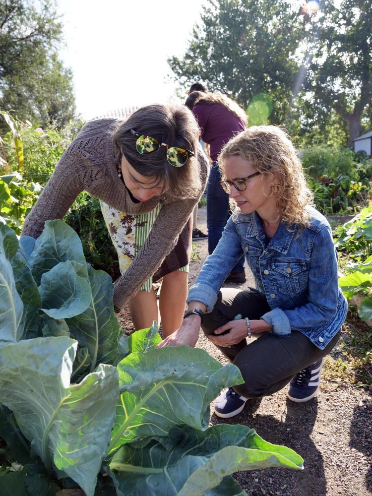 Professor Jill Litt checks on a plant with colleagues Evan Coringrato, Erin Decker and Angel Villalobos