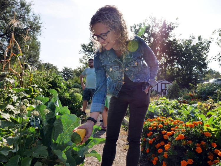 Professor Jill Litt looks at a squash at a community garden next to Regis University in Denver