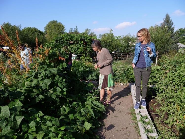 Professor Jill Litt, far right, looks over a participant garden with her research assistant Erin Decker