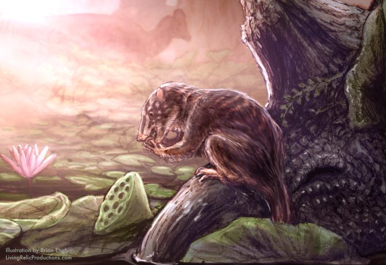 Illustration of a furred animal sitting on a tree root with a swamp in the background