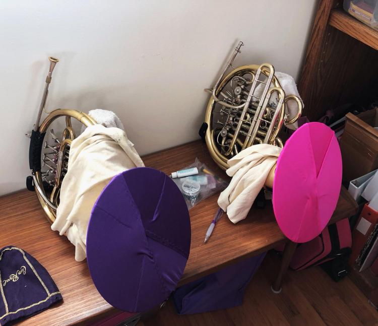 Levinson's horn cover