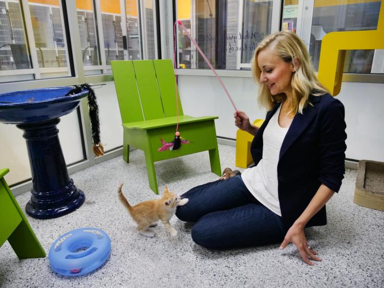 Lindsay Scott plays with a kitten at Boulder's Humane Society.