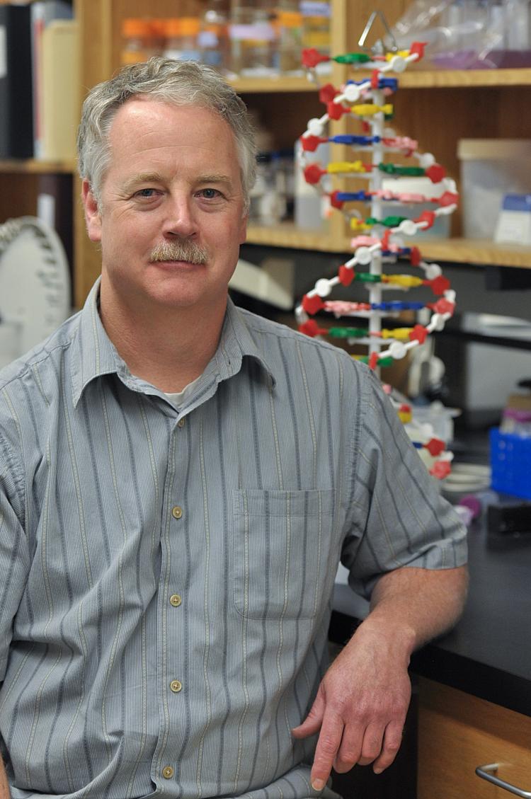 CU Boulder nicotine researcher Jerry Stitzel in his lab