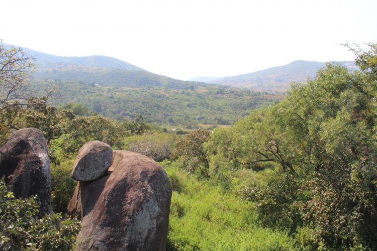 Hhohho region of Eswatini | Photo by Joelle Westcott
