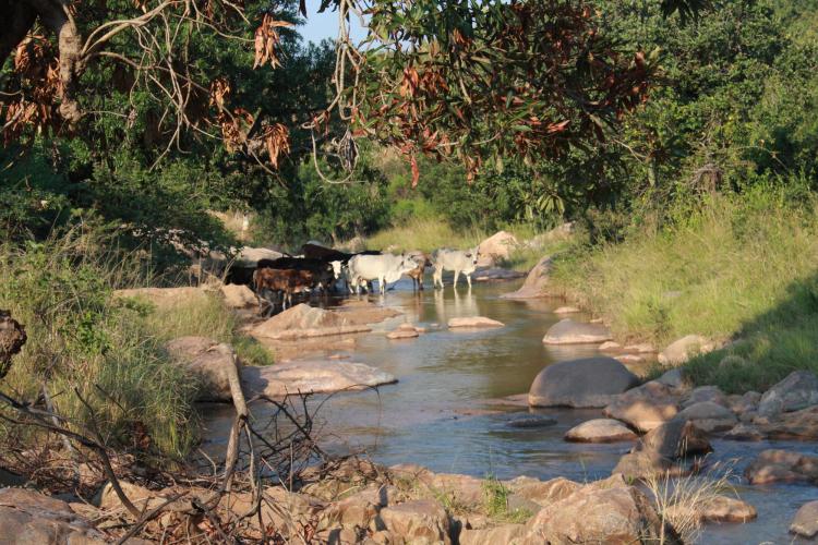 Hhohho region of Eswatini | Photo by Joelle Westcott