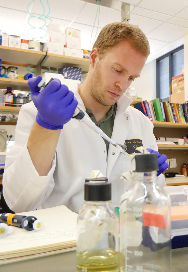 Research Jens Schmidt at work in the lab.