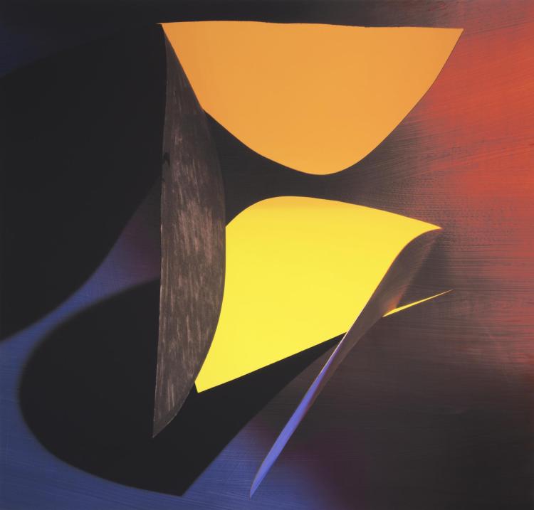 Kate Petley's Equal Measure (2021), an archival print and acrylic on canvas, 72 x 76 inches. (Photo courtesy of the artist and Robischon Gallery)
