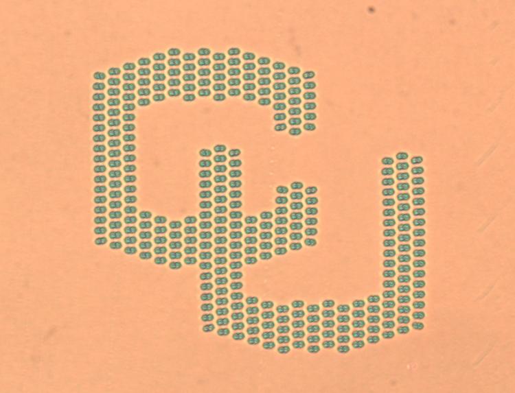 Liquid crystal knots arranged in the shape of the CU Boulder logo