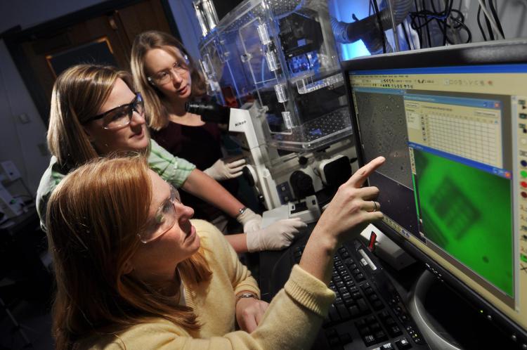 Researchers collaborate in lab