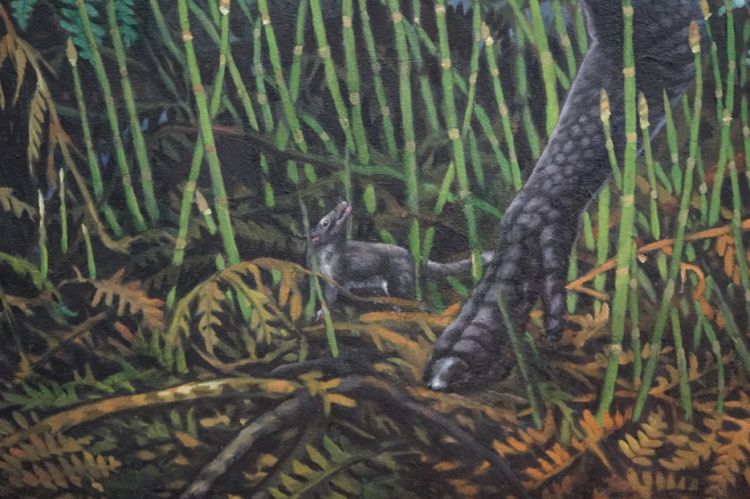 Artist's depiction of Late Cretaceous mammal