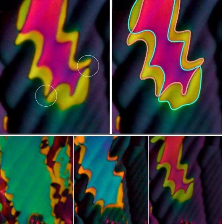 Five images of a new liquid crystal phase