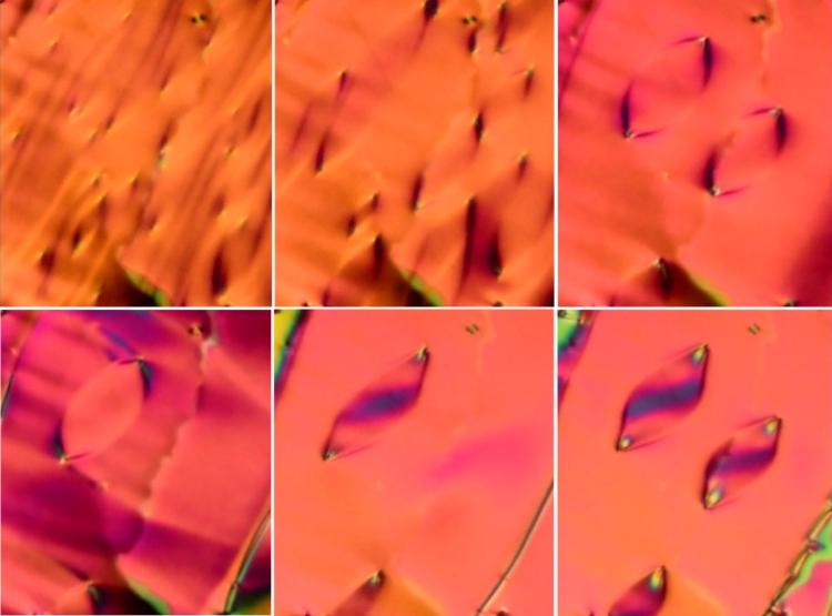Six images of a new phase of liquid crystal as seen under the microscope.