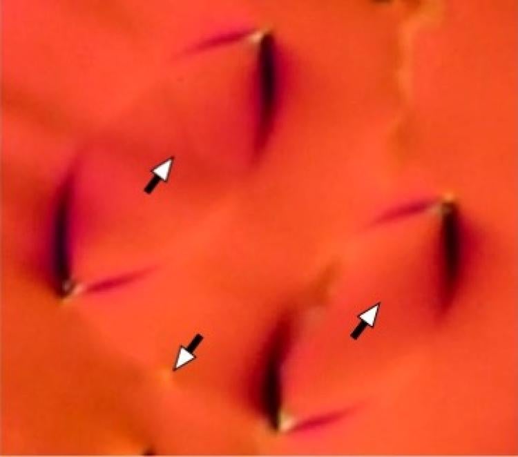 Arrows showing the orientation of molecules within "domains" in a liquid crystal.