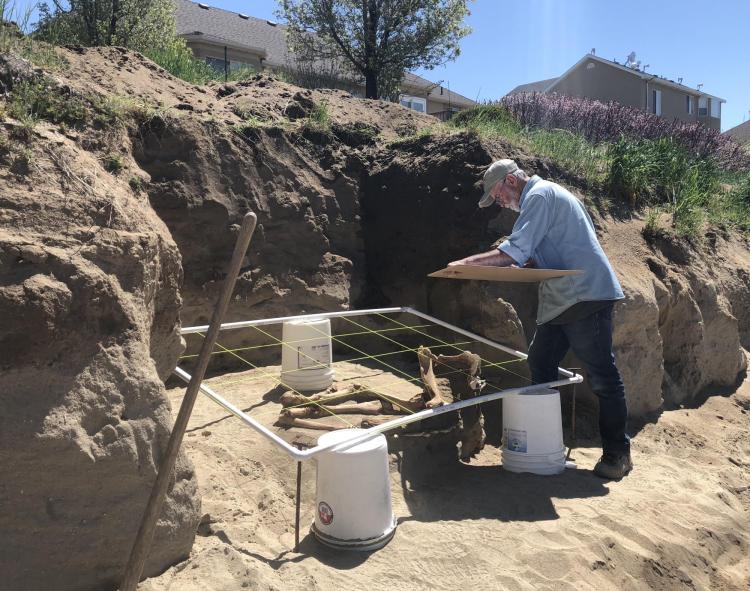 A researcher works to excavate the Lehi horse skeleton