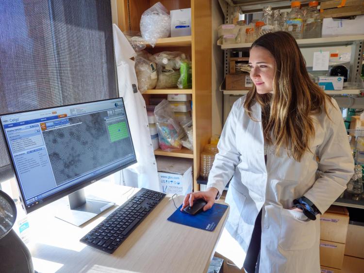 Marina Nieto-Caballero assesses the infectious potential of airborne murine coronavirus using computer aided microscopy