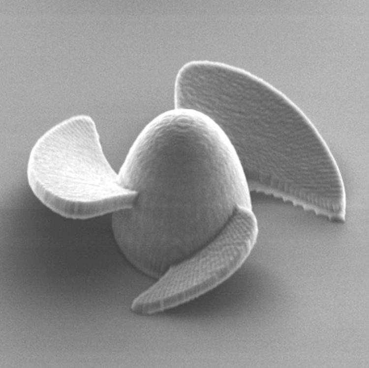 Close up of microrobot with three fins