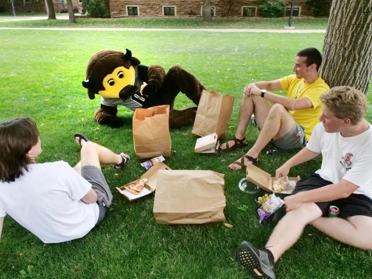 Chip hanging out during move-in.