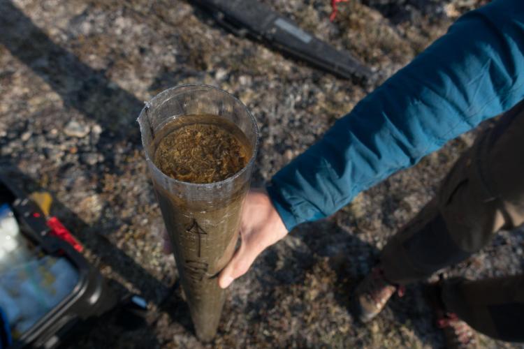 Mud tube
