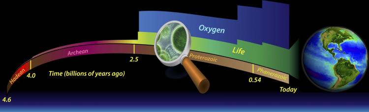 Oxygen graphic