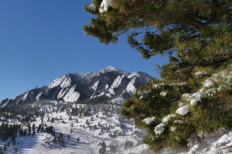 Snowy view from NCAR