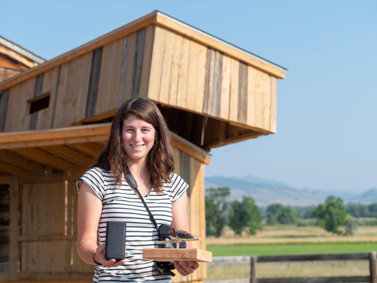Molly McDermott, a PhD student studying ecology and evolutionary biology, focuses her research on migration and how that interacts with barn swallow breeding biology. 