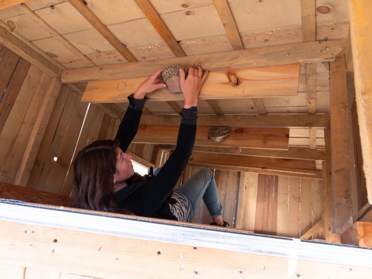 Molly McDermott attaching a nest to the sculpture.