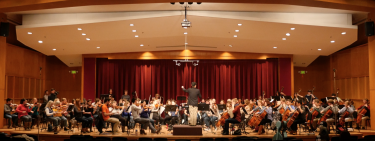 a classical orchestra on stage