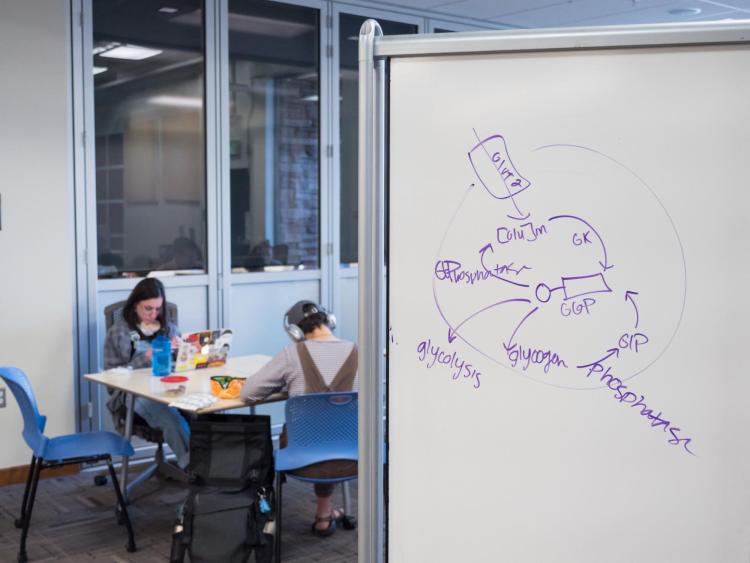 Students studying hard at Norlin Library. Photo by Patrick Campbell.