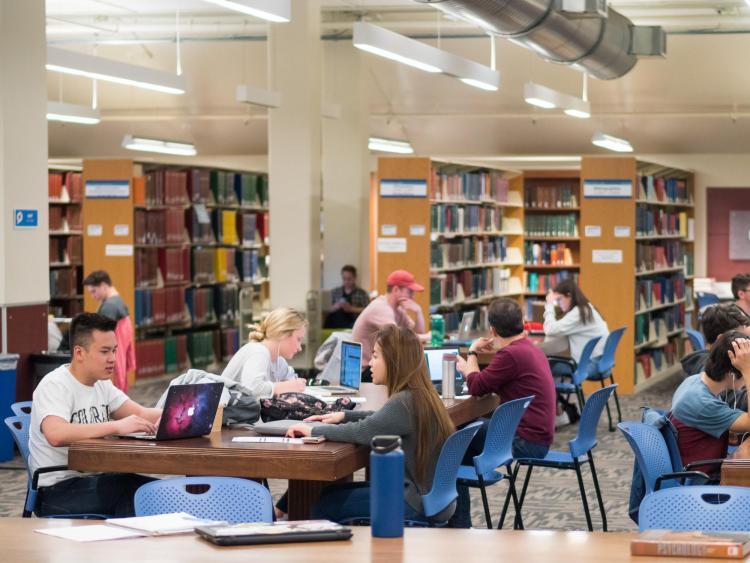 Students studying hard at Norlin Library. Photo by Patrick Campbell.