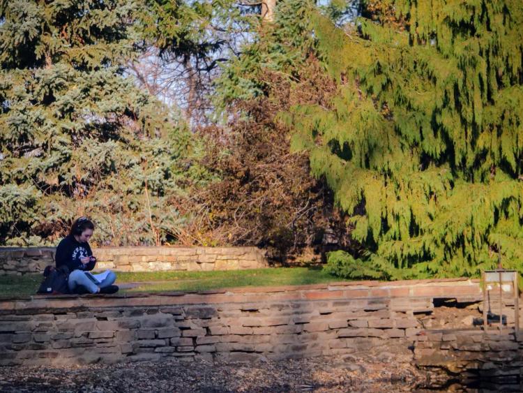 Student studying outside on campus during fall