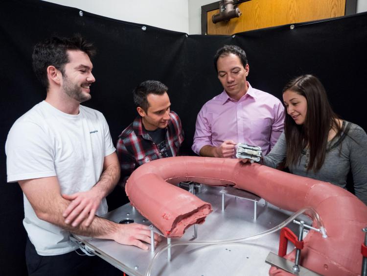 researchers with model of robotic small intestine
