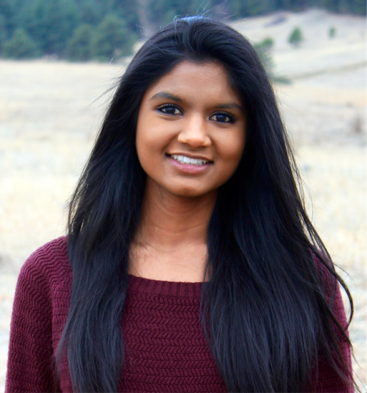 Lakshmi Karamsetti