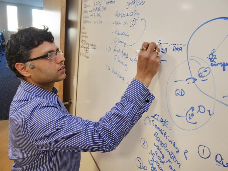 prashant nagpal