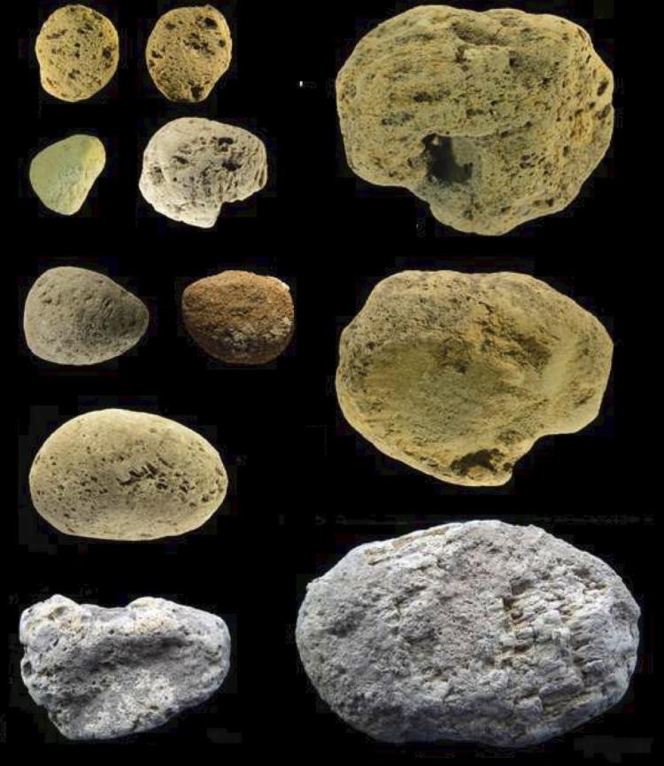 A collection of pumice stones discovered in Grotta dei Moscerini