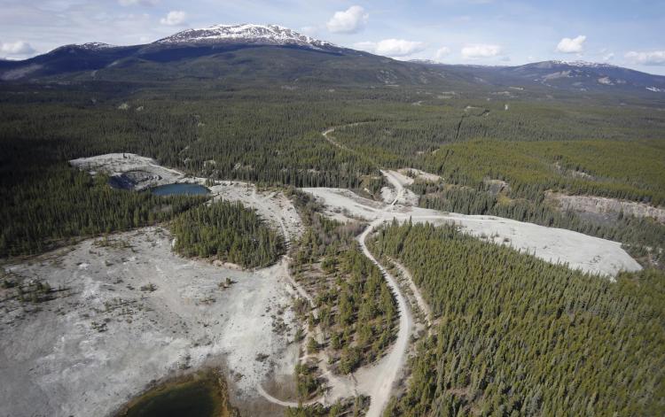 A quarry where schoolteacher Joan Hodgins discovered 8-9 million year-old fossils from the Yukon.