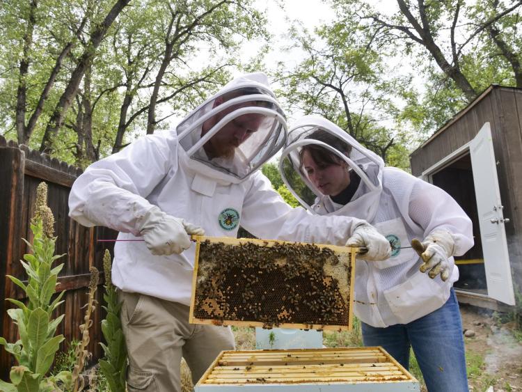 Rachael Kaspar and friend reveal the bees