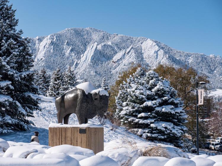 Ralphie sculpture topped with snow
