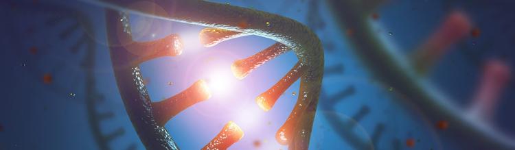 RNA