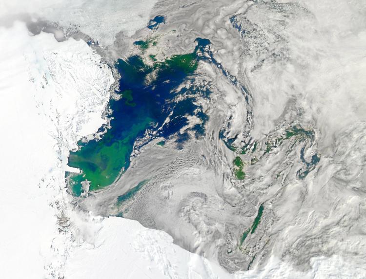 Satellite image of the Ross Sea, which extends off of Antarctica's Ross Ice Shelf