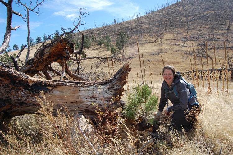 Researcher Monica Rother next to a seedling at Walker Ranch