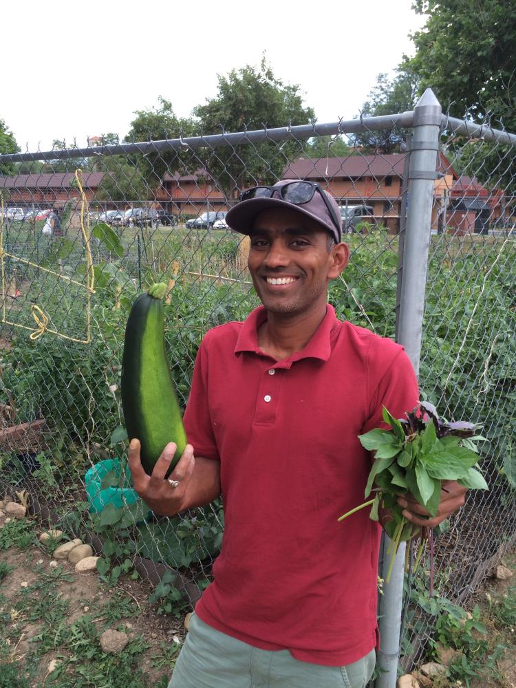 Satya Peram holds a zucchini in his right hand and basil in his left while standing in front of a fenced garden.