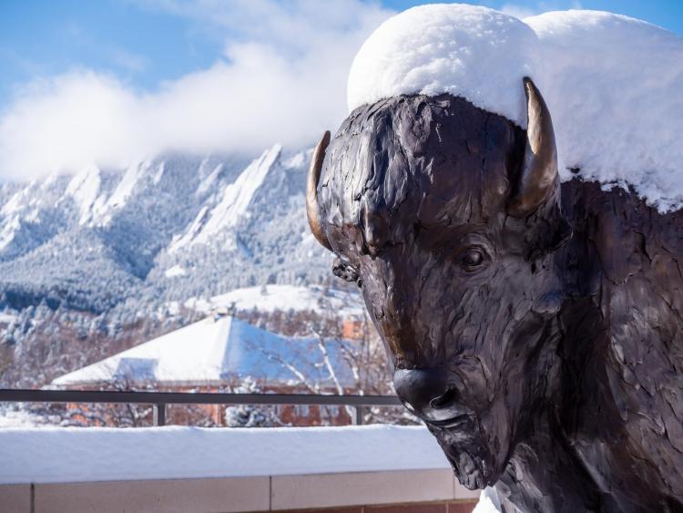 Snowy campus on Monday. Photo by Patrick Campbell.