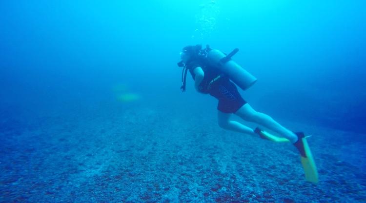 Researcher Hayley Sohn SCUBA diving