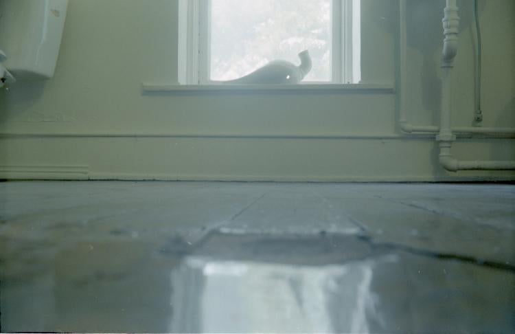 2017 Art and Rural Environments Field School: Window art