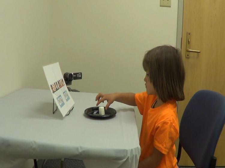 Child doing the marshmallow test