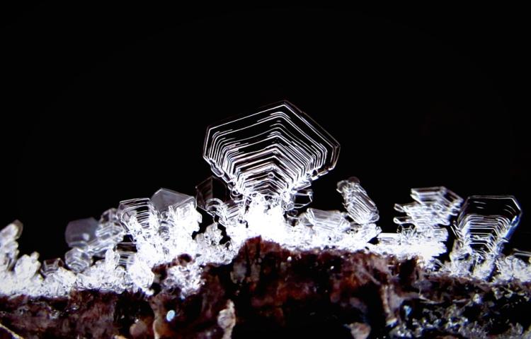 snow crystal