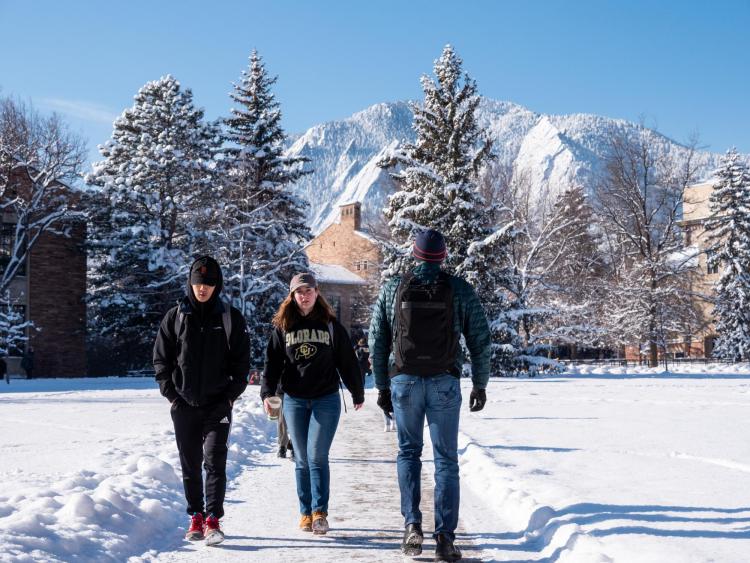 Students walking through snow-cleared sidewalk on campus